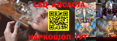 apvp Гатчина