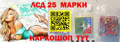 apvp Гатчина