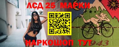 дживик Гай