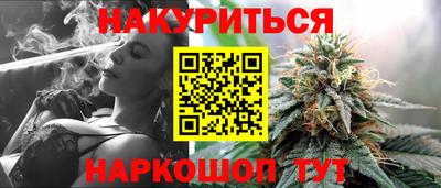 apvp Гатчина