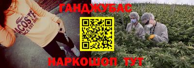 apvp Гатчина