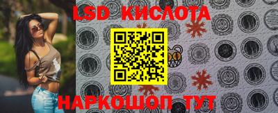 дживик Гай