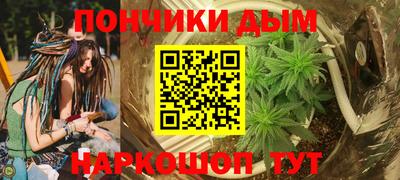 apvp Гатчина