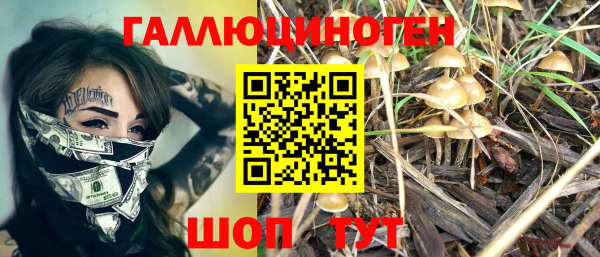 Псилоцибиновые грибы мухоморы Мытищи