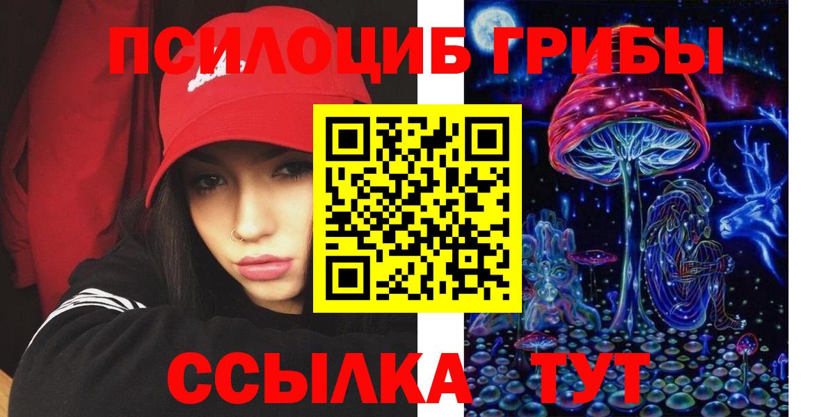 Псилоцибиновые грибы прущие грибы  Псилоцибиновые грибы Psilocybine cubensis  Мытищи  Вход с VPN 